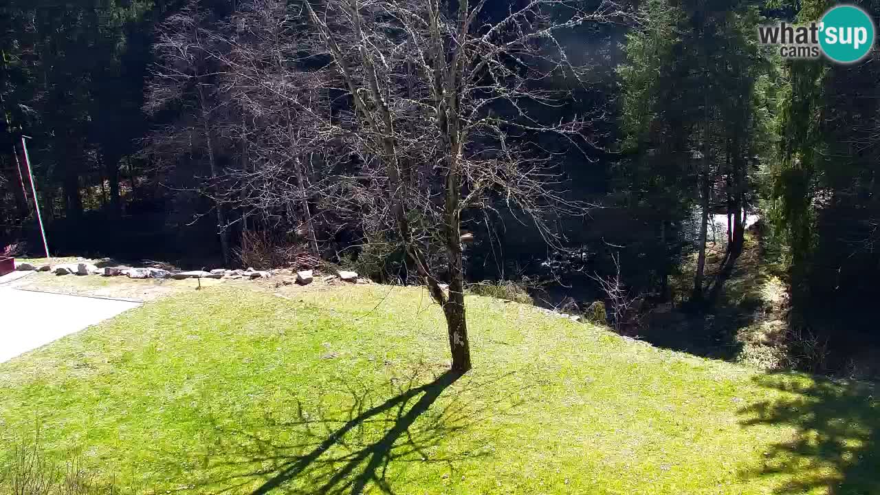 Webcam Lukanja – Water Village | Pohorje Houses