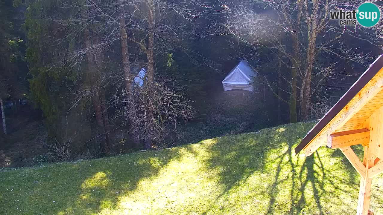 Spletna kamera Lukanja – Water Village | Pohorje Houses