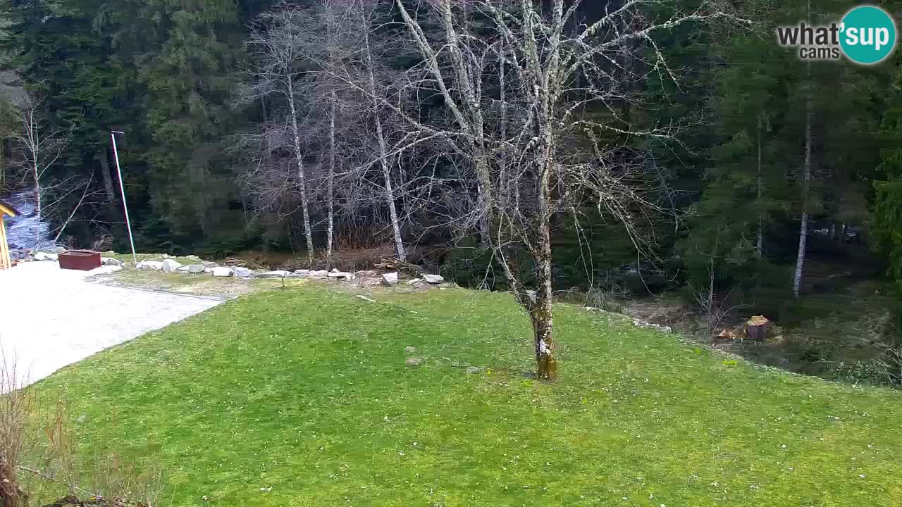 Webcam Lukanja – Water Village | Pohorje Houses