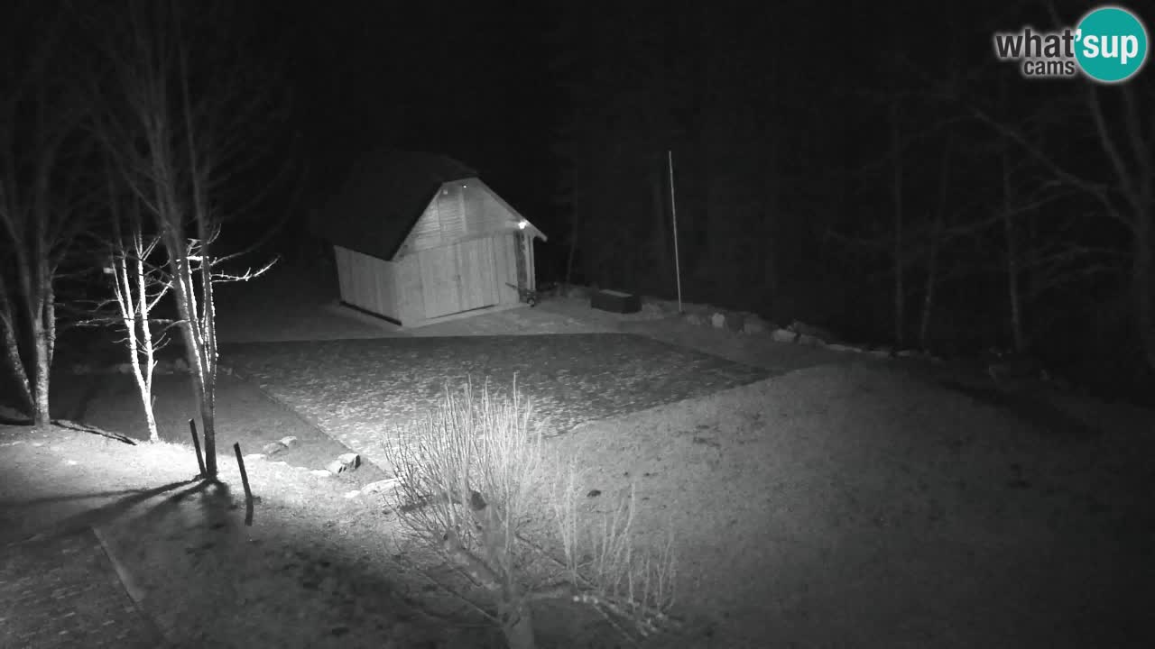 Webcam Lukanja – Pohorje houses a Water village