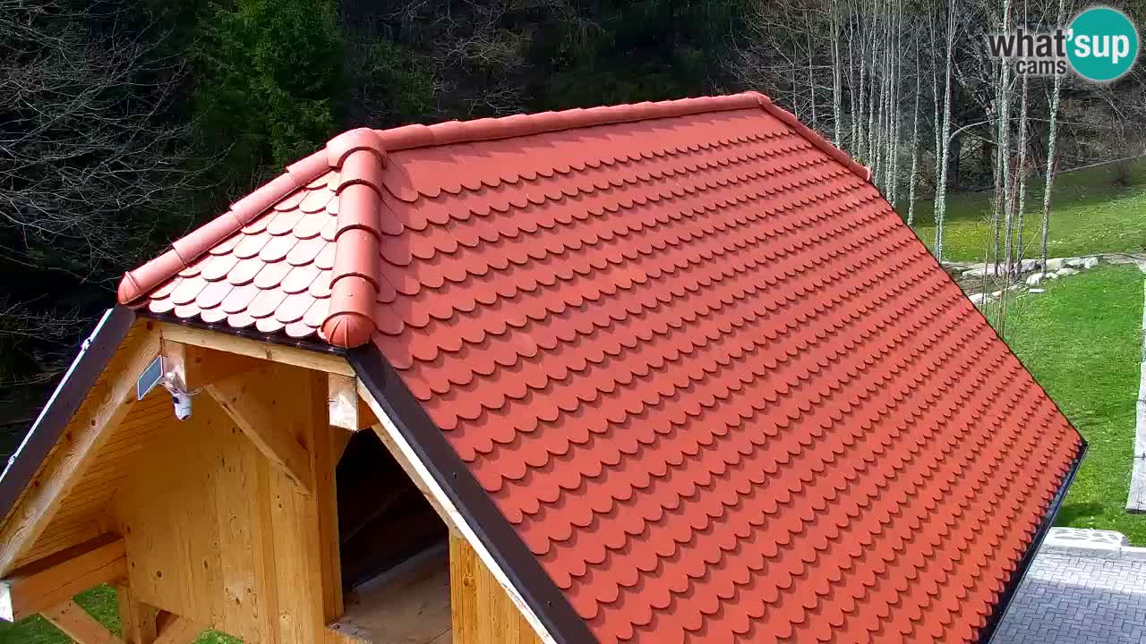 Webcam Lukanja – Water Village | Pohorje Houses