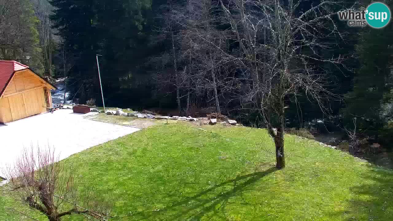 Webcam Lukanja – Water Village | Pohorje Houses