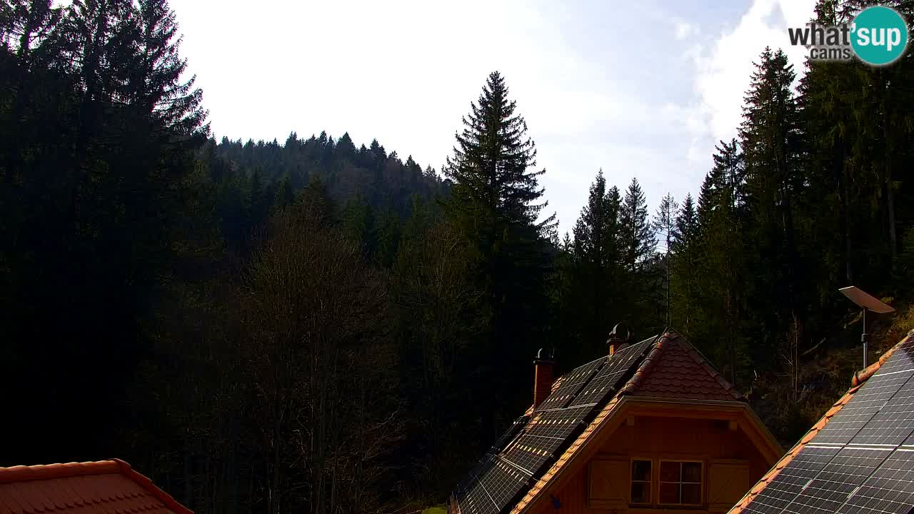 Webcam Lukanja – Water Village | Pohorje Houses