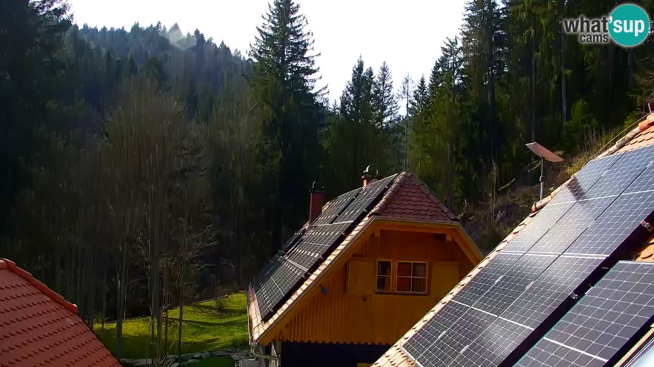 Webcam Lukanja – Pohorje houses a Water village