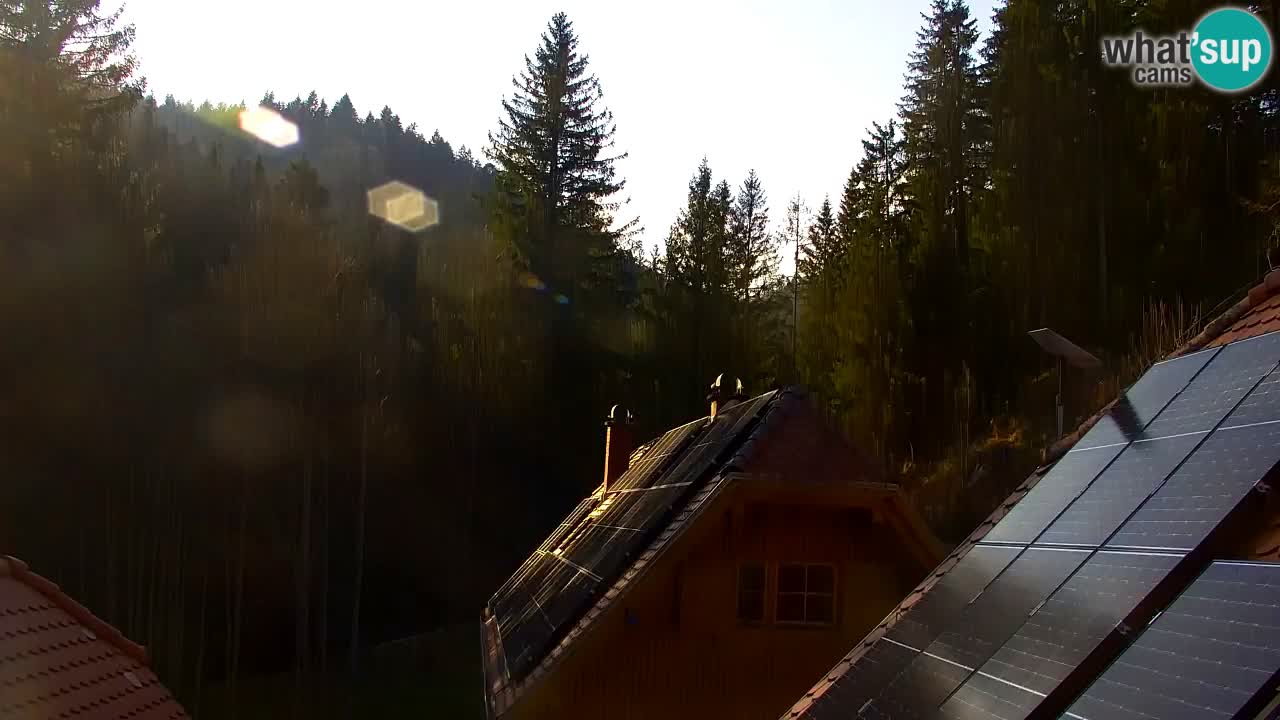 Webcam Lukanja – Water Village | Pohorje Houses