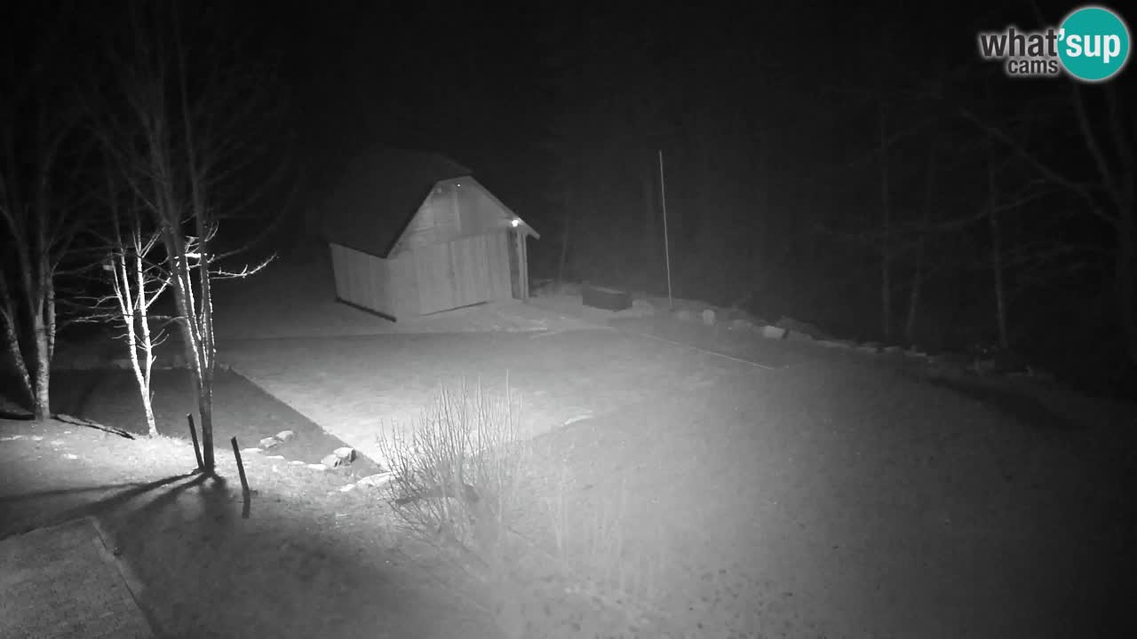 Web kamera Lukanja – Water Village | Pohorje Houses