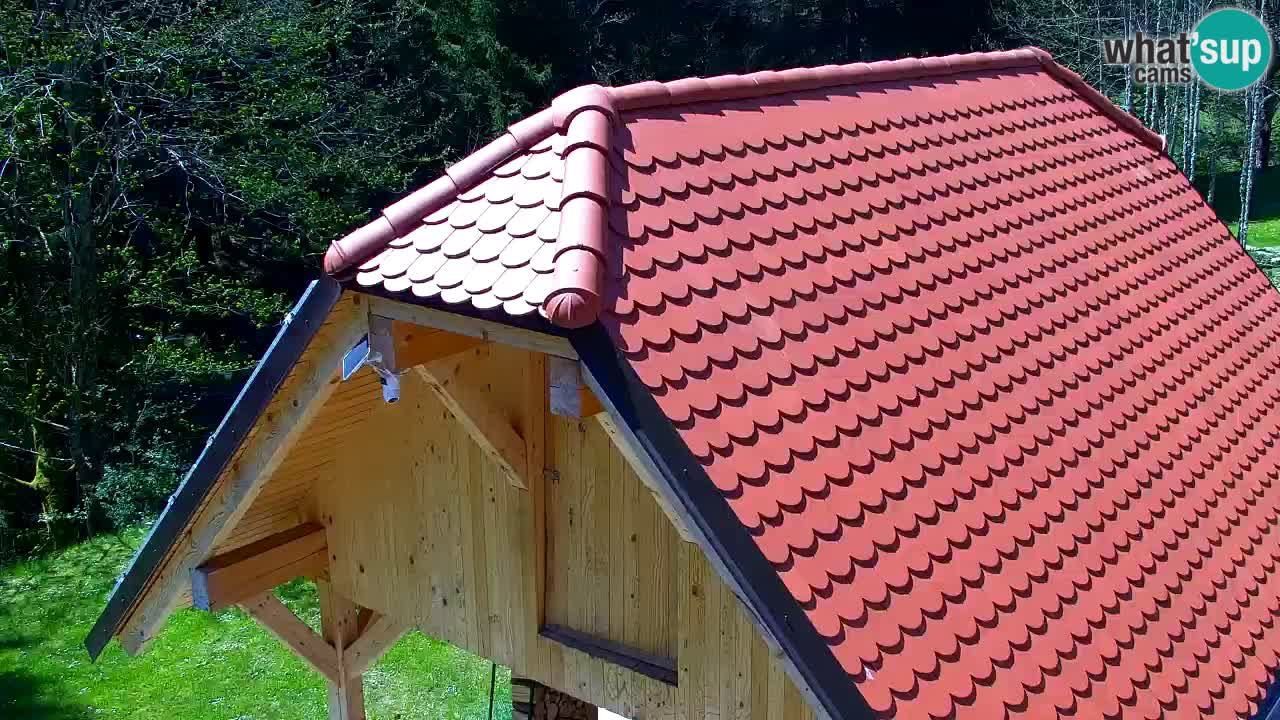 Web kamera Lukanja – Water Village | Pohorje Houses