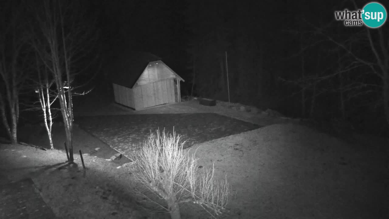 Webcam Lukanja – Pohorje houses a Water village