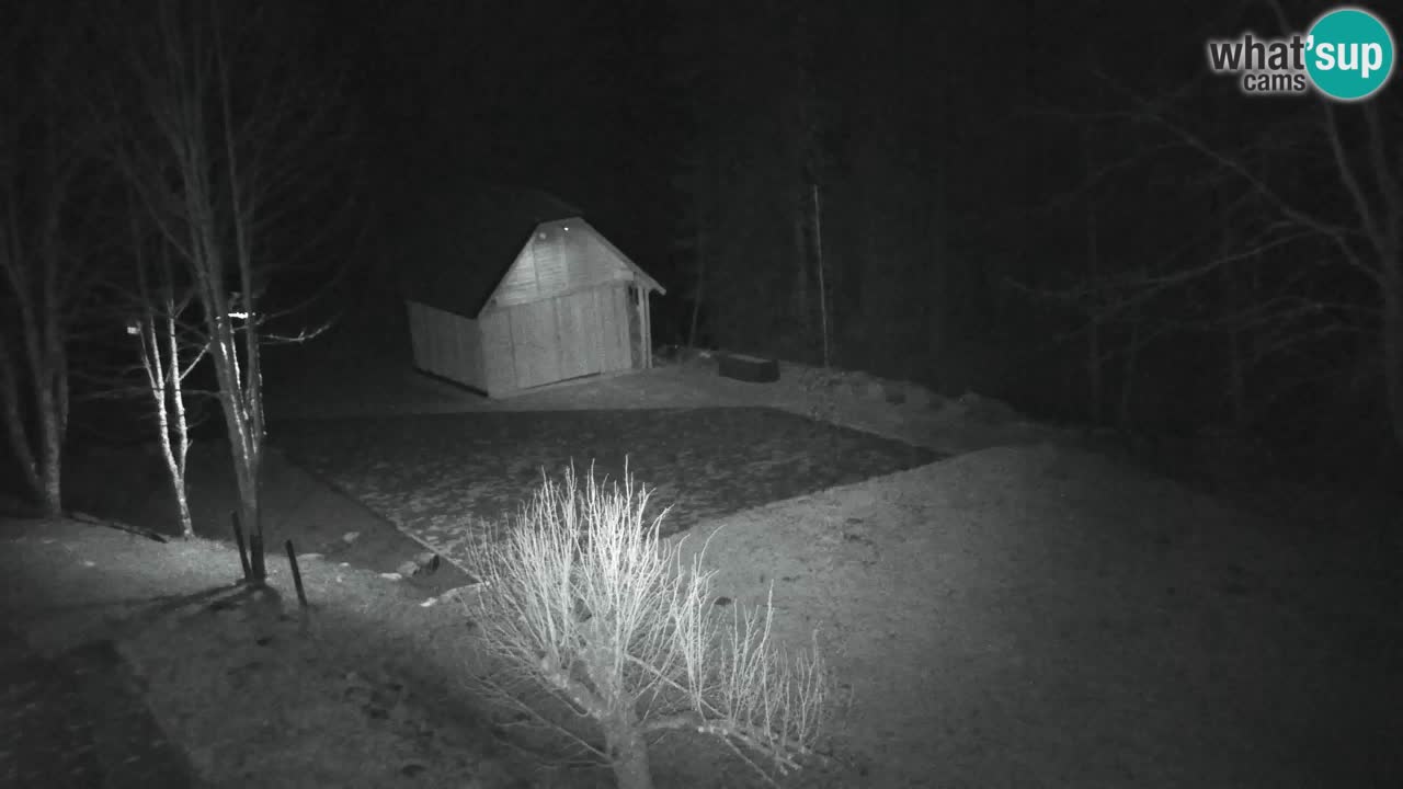 Webcam Lukanja – Water Village | Pohorje Houses