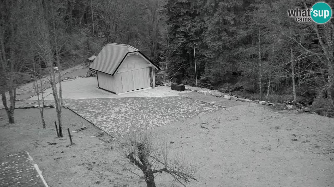 Webcam Lukanja – Water Village | Pohorje Houses