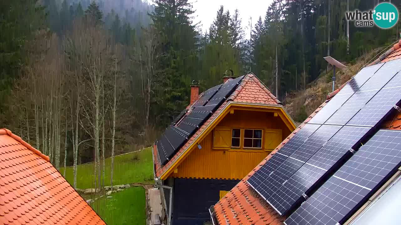 Web kamera Lukanja – Water Village | Pohorje Houses