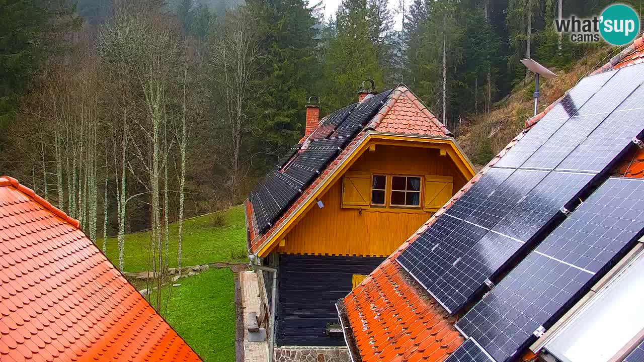 Spletna kamera Lukanja – Water Village | Pohorje Houses