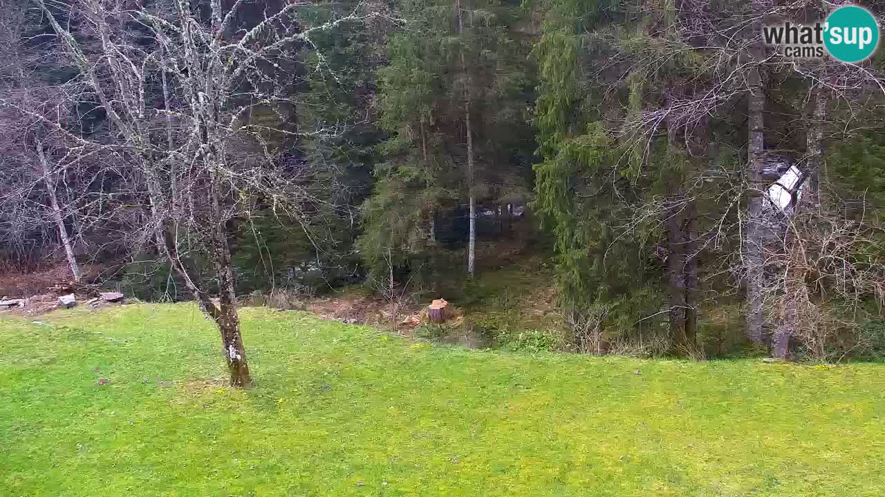 Webcam Lukanja – Water Village | Pohorje Houses