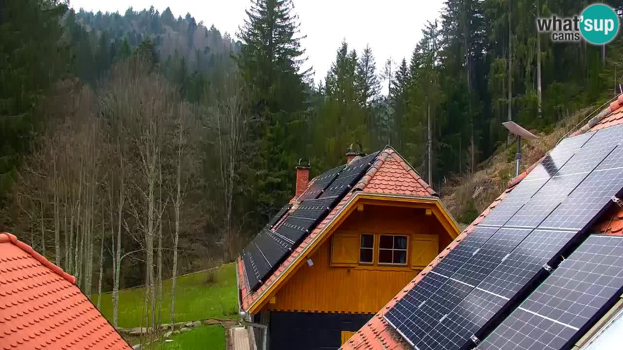 Webcam Lukanja – Water Village | Pohorje Houses