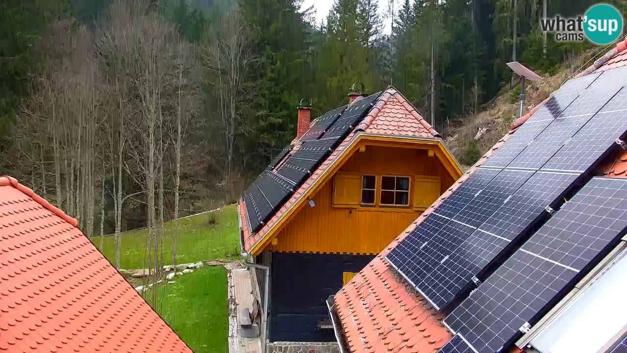Spletna kamera Lukanja – Water Village | Pohorje Houses