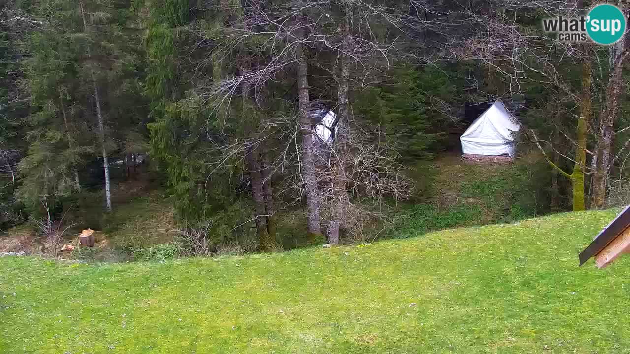 Webcam Lukanja – Pohorje houses a Water village
