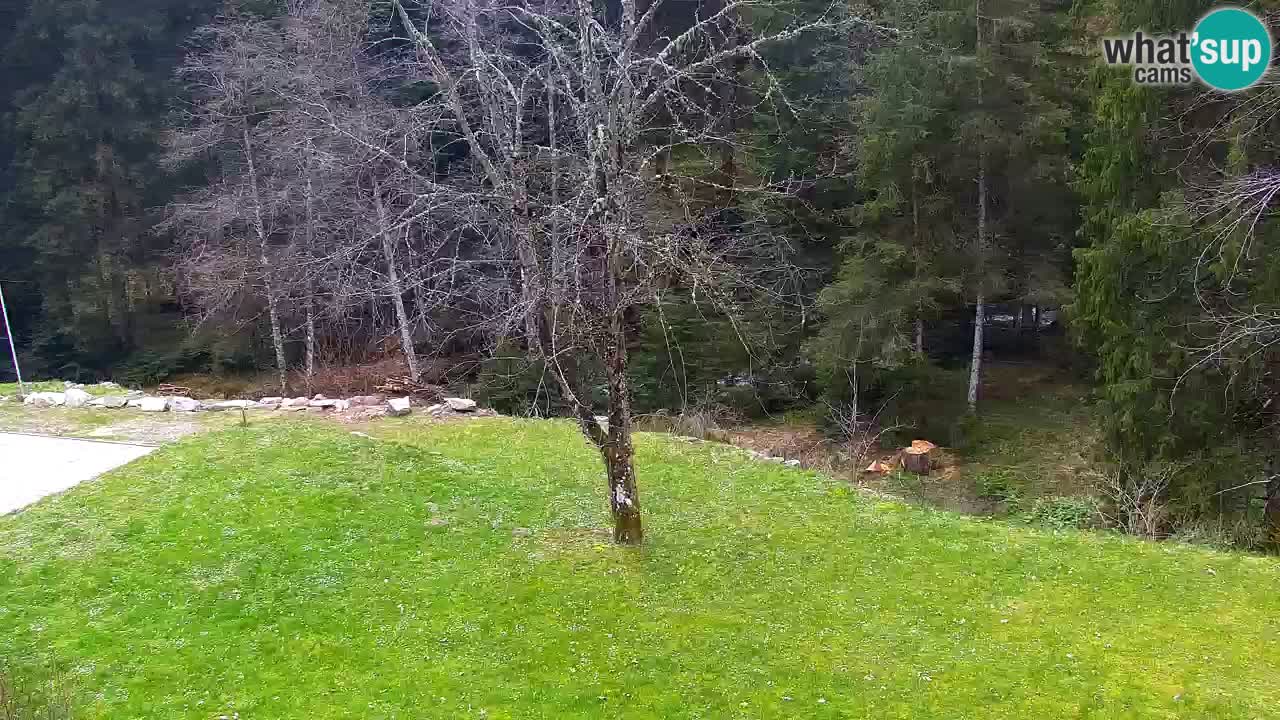 Webcam Lukanja – Pohorje houses a Water village