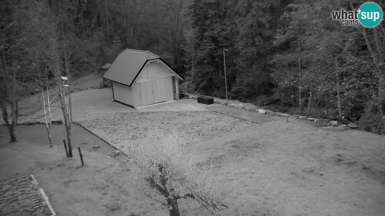 Web kamera Lukanja – Water Village | Pohorje Houses