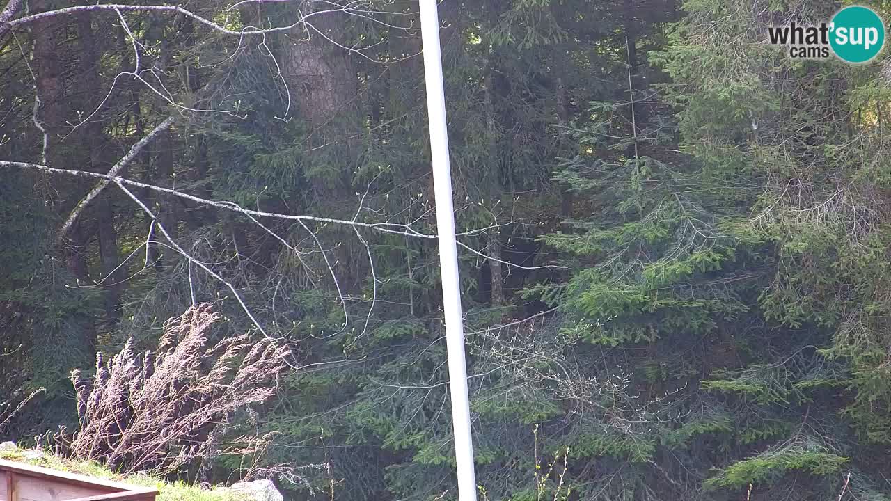 Webcam Lukanja – Water Village | Pohorje Houses