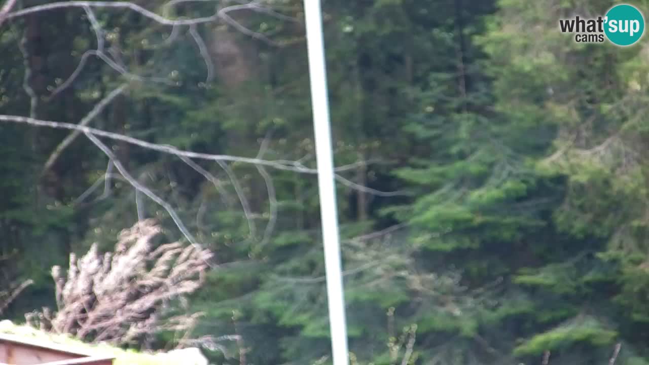 Webcam Lukanja – Water Village | Pohorje Houses