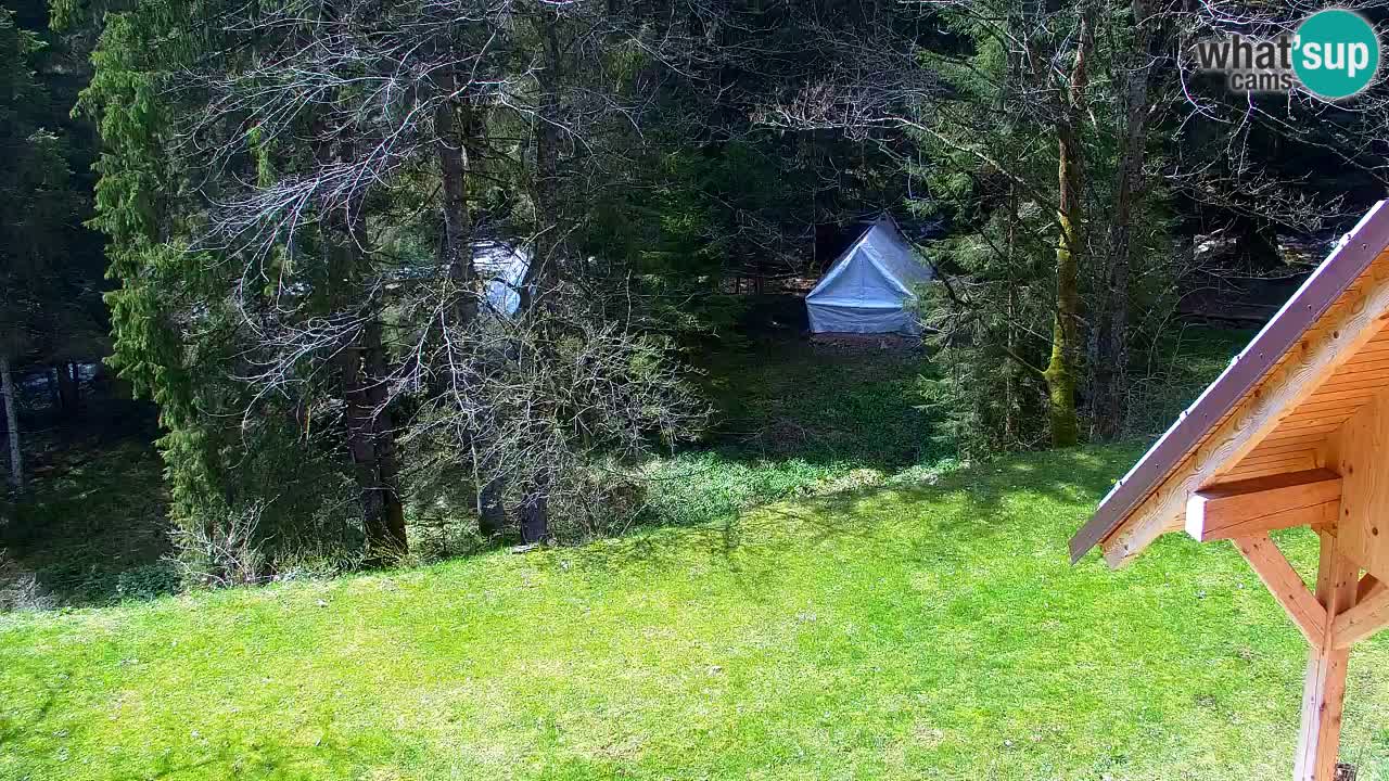 Webcam Lukanja – Water Village | Pohorje Houses