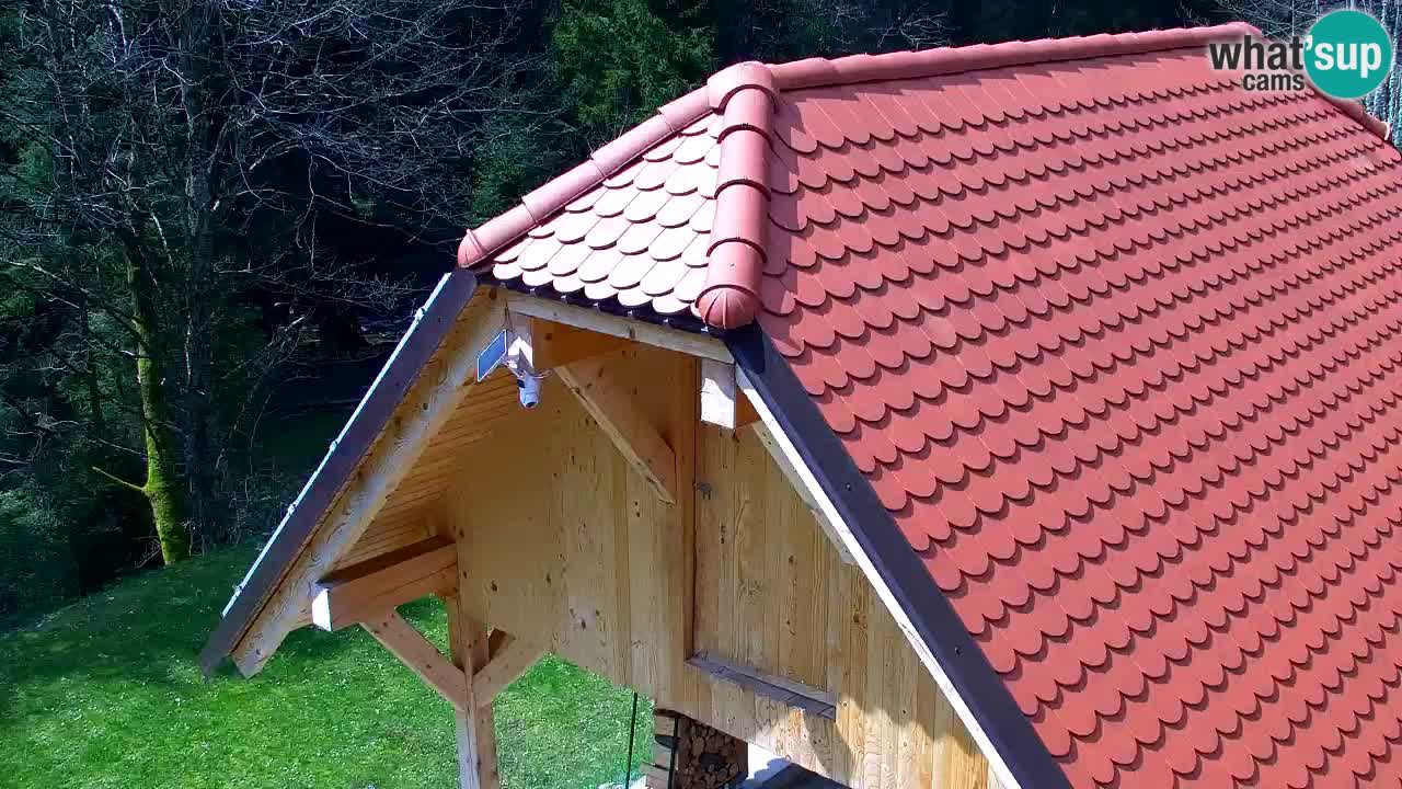 Webcam Lukanja – Pohorje houses a Water village
