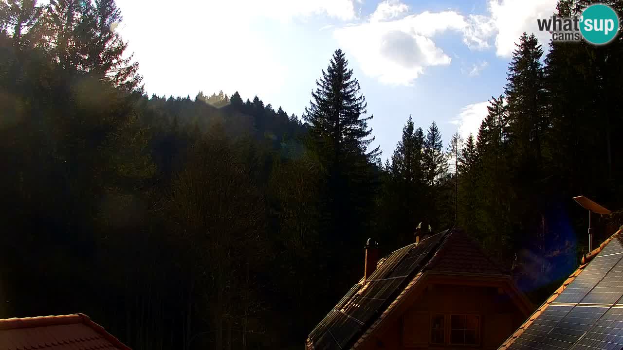 Webcam Lukanja – Water Village | Pohorje Houses
