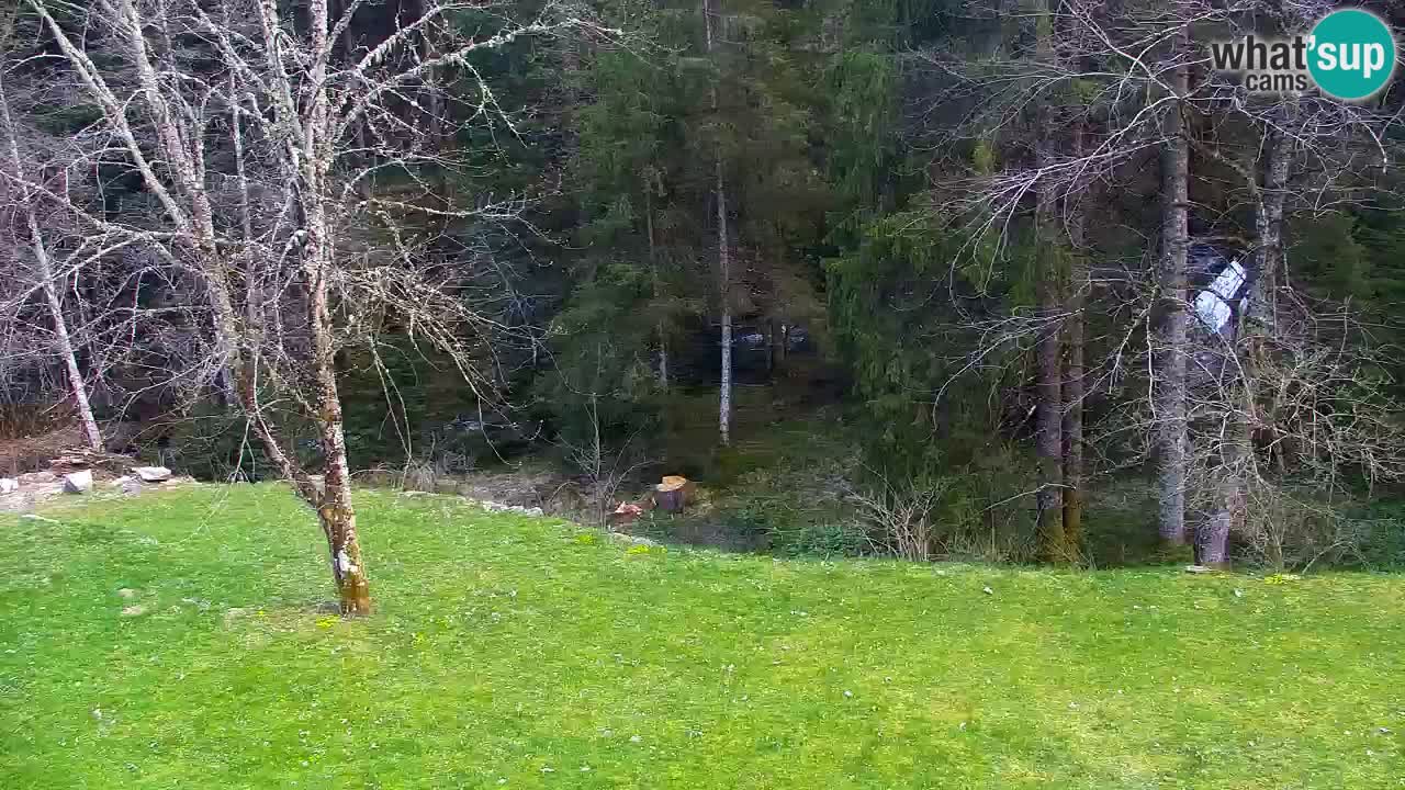 Webcam Lukanja – Water Village | Pohorje Houses