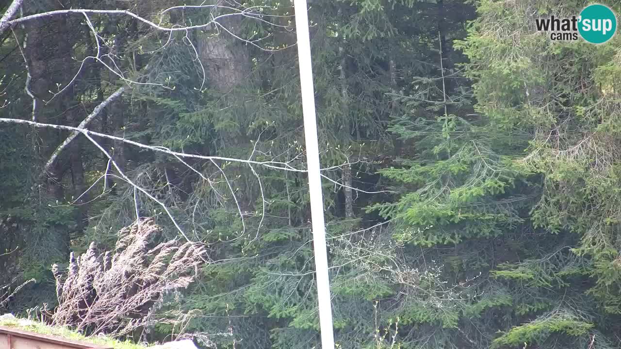 Webcam Lukanja – Pohorje houses a Water village