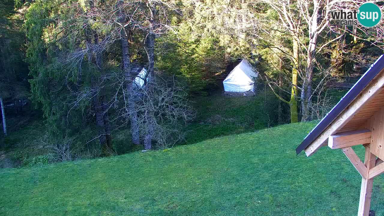 Webcam Lukanja – Water Village | Pohorje Houses