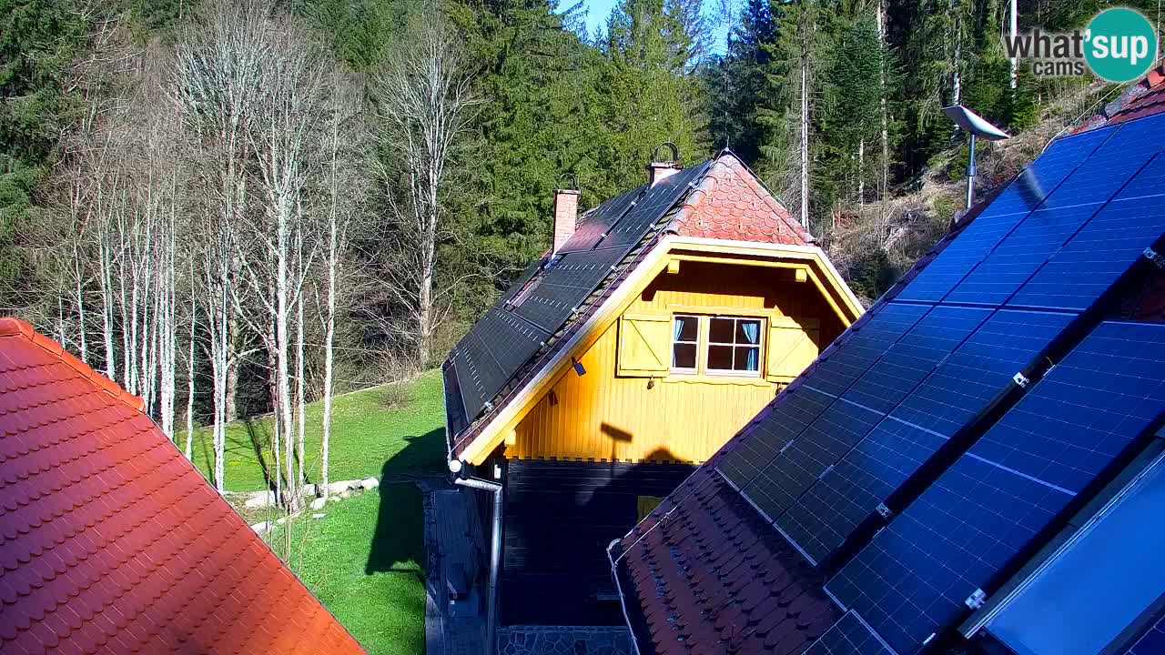 Spletna kamera Lukanja – Water Village | Pohorje Houses