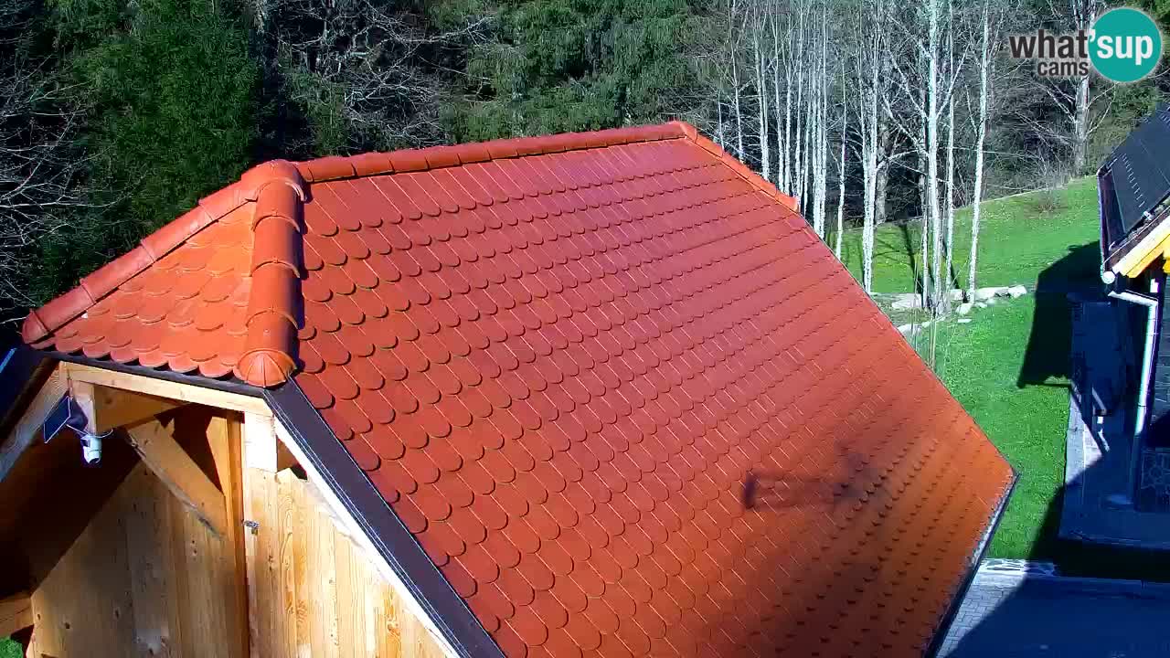 Web kamera Lukanja – Water Village | Pohorje Houses