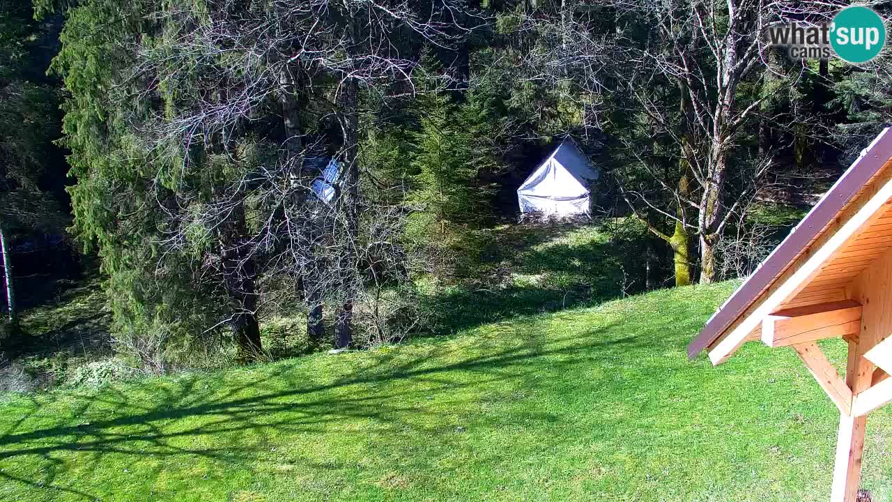 Webcam Lukanja – Water Village | Pohorje Houses