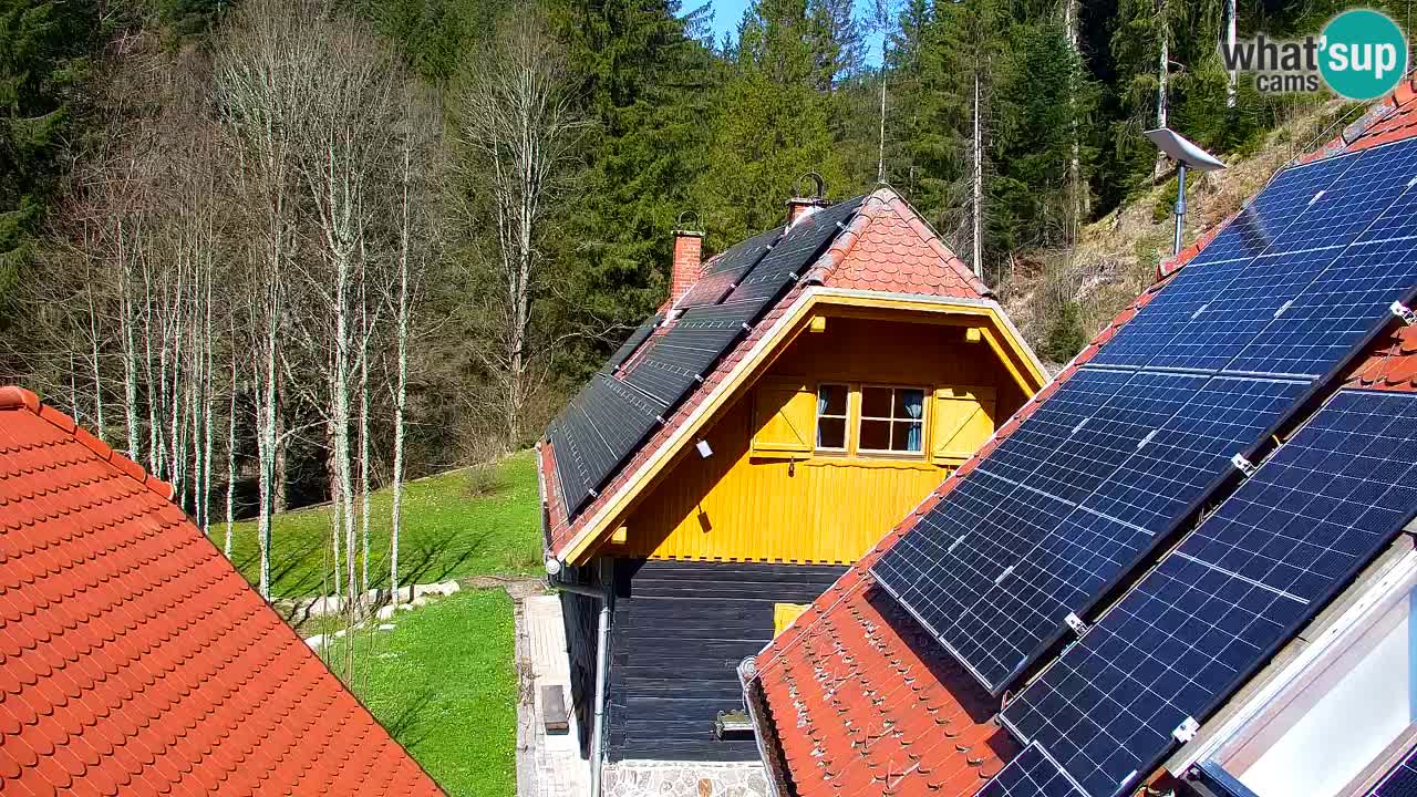 Webcam Lukanja – Pohorje houses a Water village