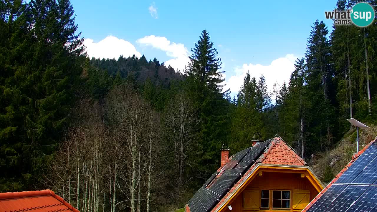 Webcam Lukanja – Water Village | Pohorje Houses