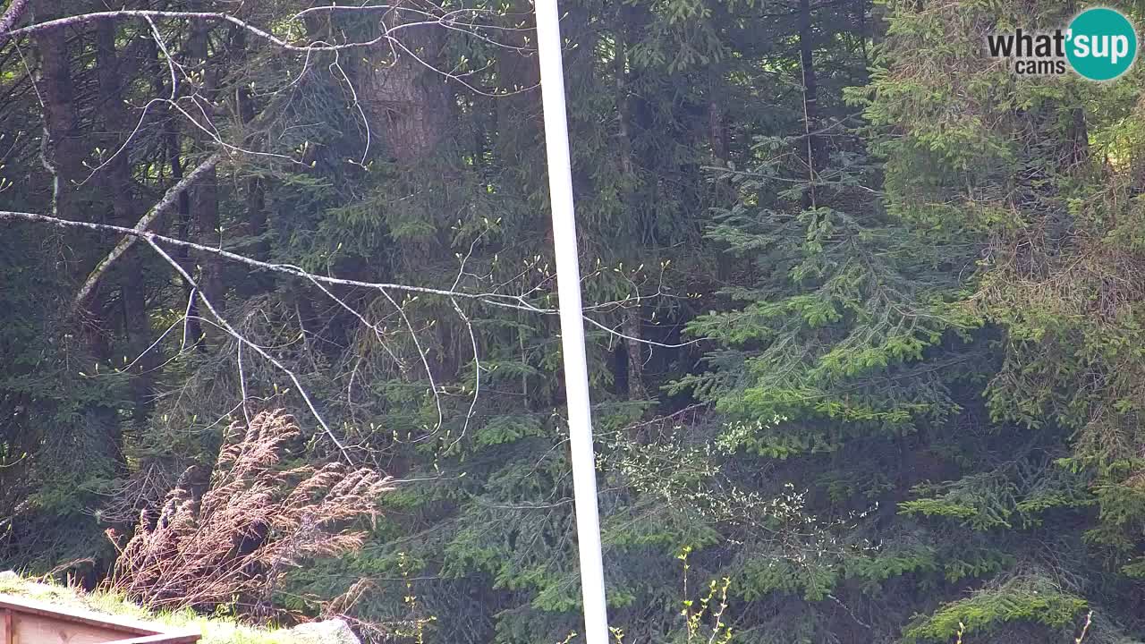 Webcam Lukanja – Pohorje houses a Water village