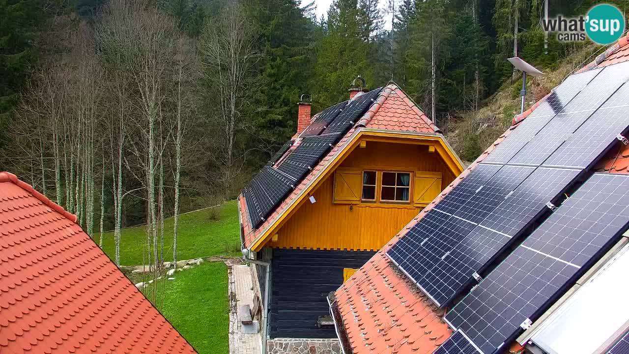 Webcam Lukanja – Water Village | Pohorje Houses
