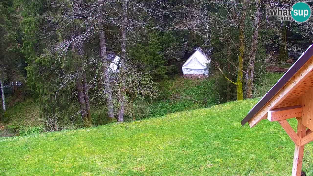 Webcam Lukanja – Water Village | Pohorje Houses