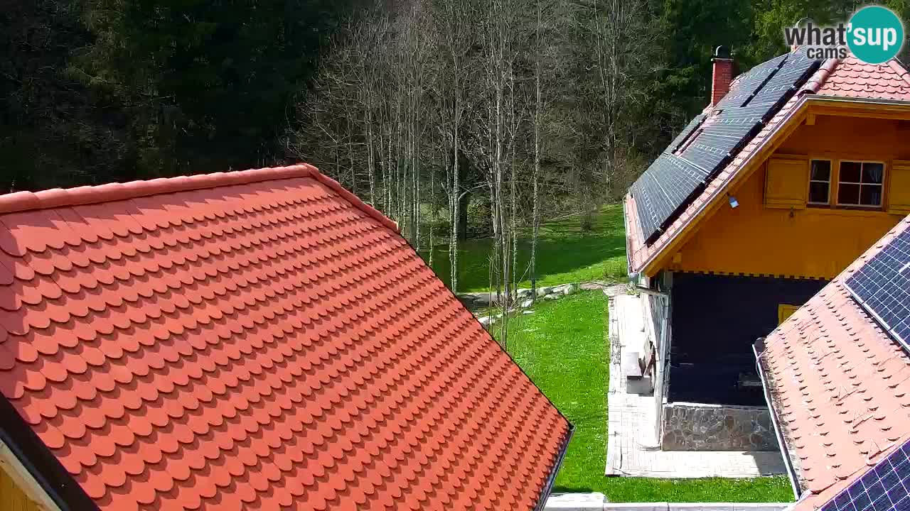 Webcam Lukanja – Water Village | Pohorje Houses
