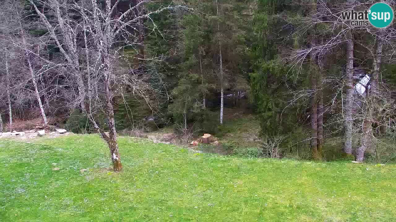 Webcam Lukanja – Water Village | Pohorje Houses