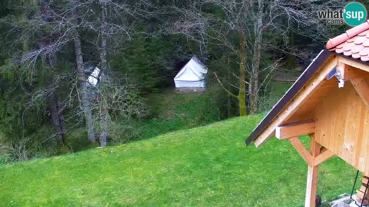 Webcam Lukanja – Pohorje houses a Water village