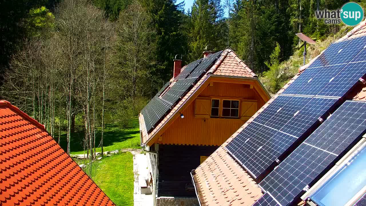 Webcam Lukanja – Water Village | Pohorje Houses