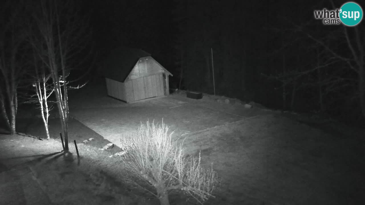 Webcam Lukanja – Water Village | Pohorje Houses