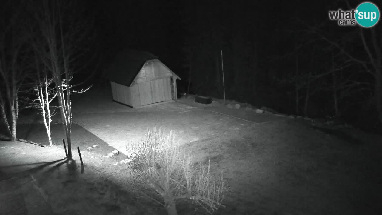 Spletna kamera Lukanja – Water Village | Pohorje Houses