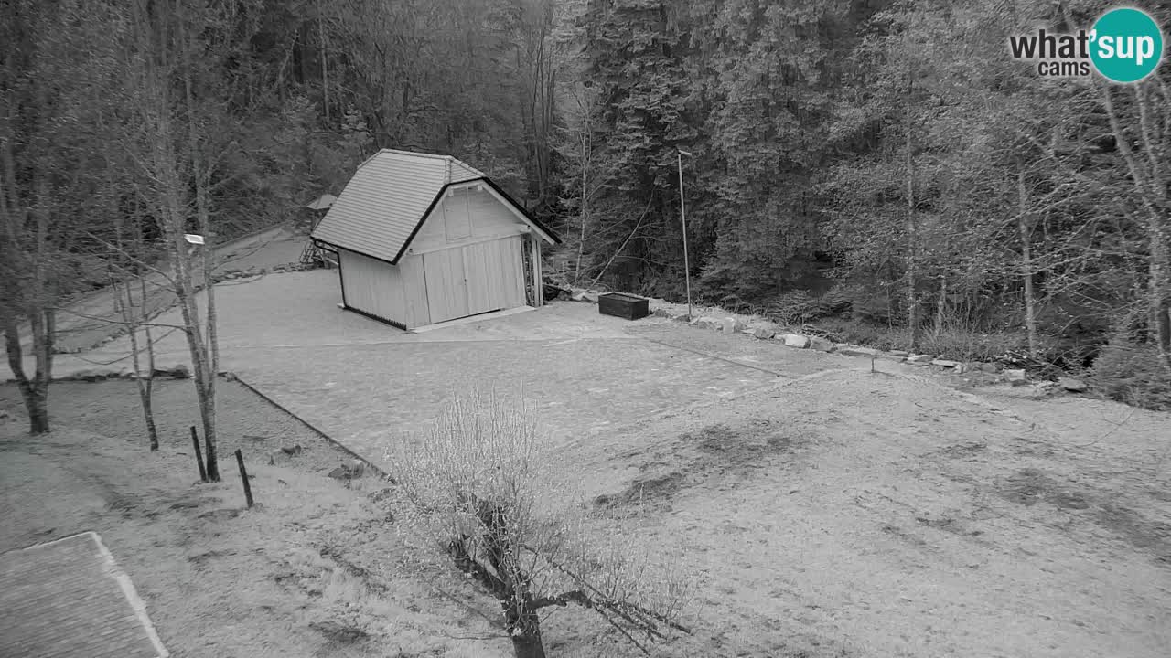 Spletna kamera Lukanja – Water Village | Pohorje Houses