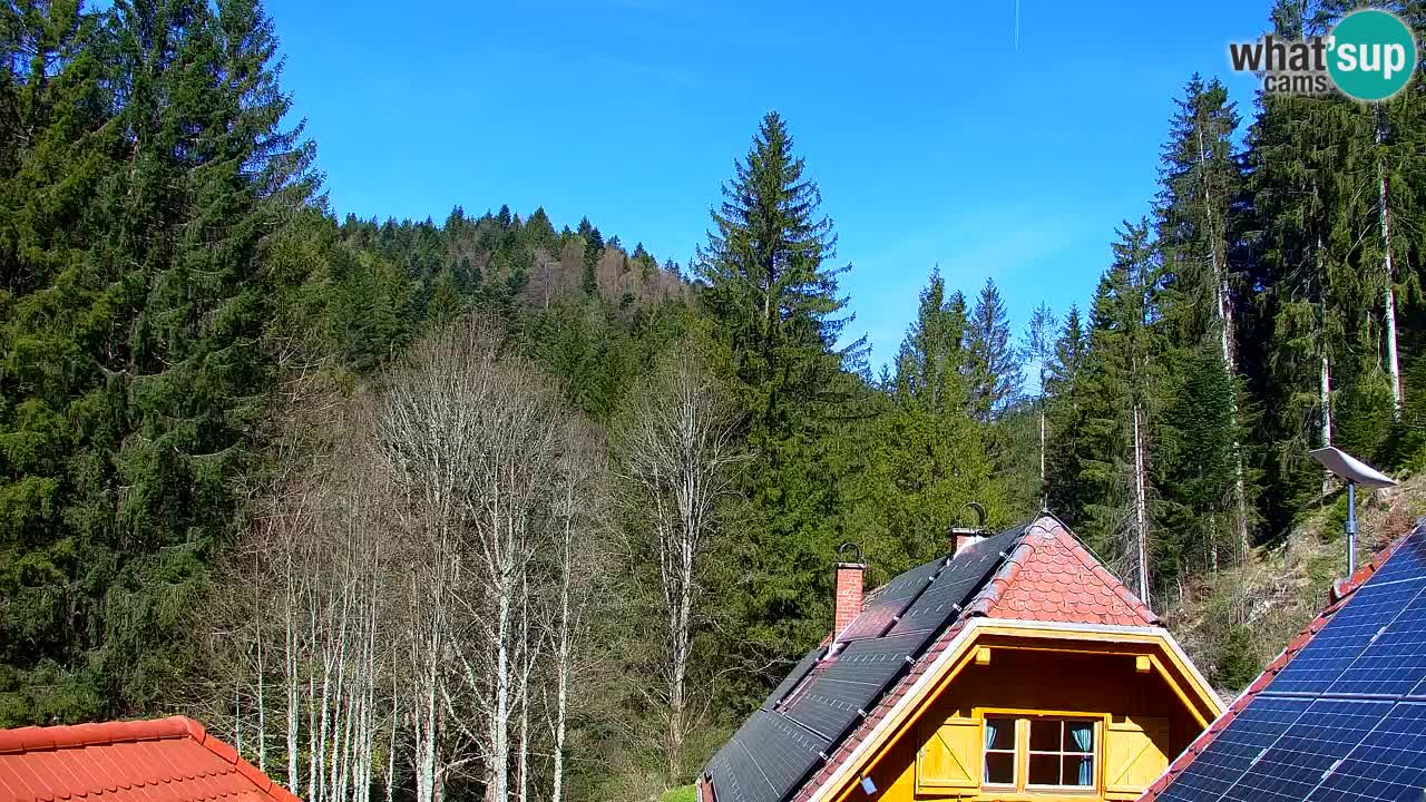 Webcam Lukanja – Water Village | Pohorje Houses