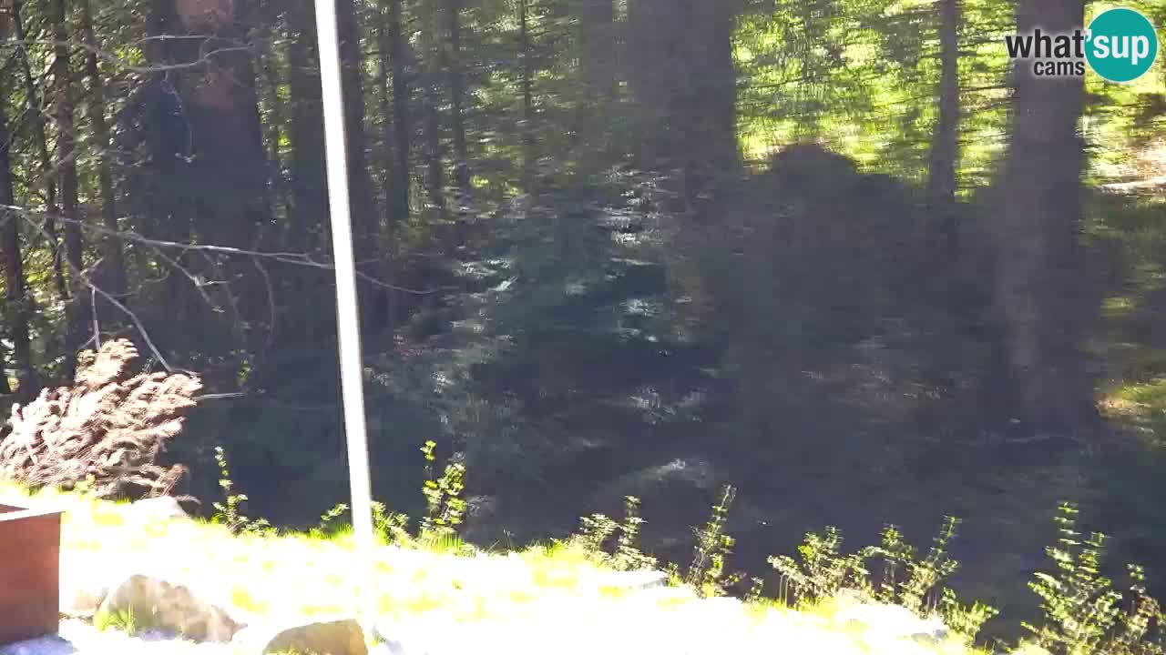 Spletna kamera Lukanja – Water Village | Pohorje Houses