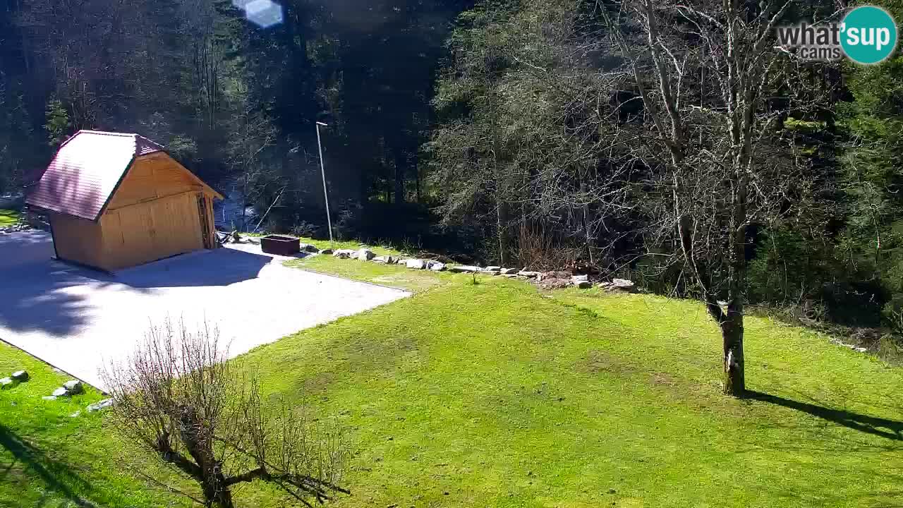 Webcam Lukanja – Pohorje houses a Water village