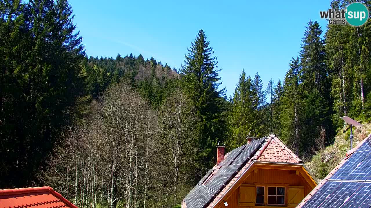 Webcam Lukanja – Pohorje houses a Water village