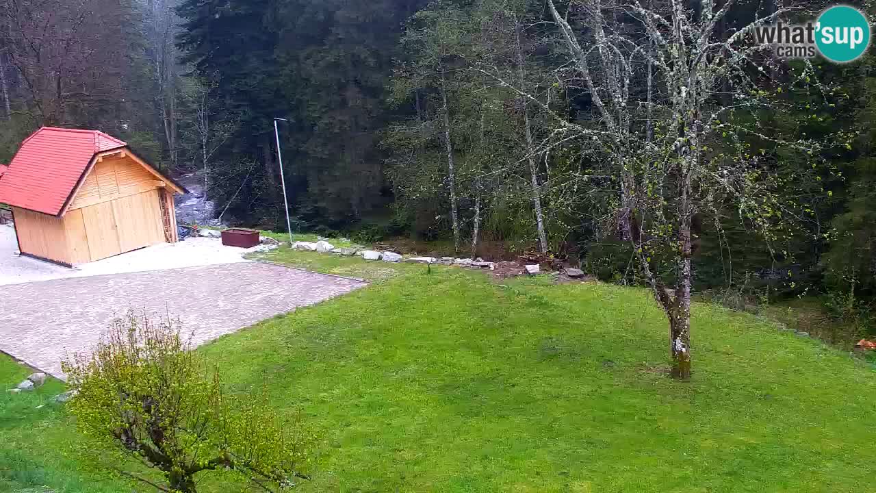 Webcam Lukanja – Water Village | Pohorje Houses